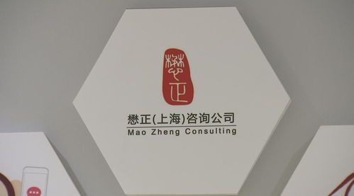 從公職到創(chuàng)業(yè) 崇明青年的無邊風景與技術咨詢夢